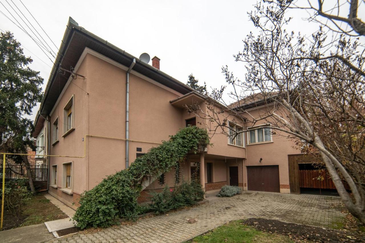 City House Timisoara Ngoại thất bức ảnh